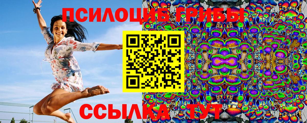 Псилоцибиновые грибы GOLDEN TEACHER Глазов