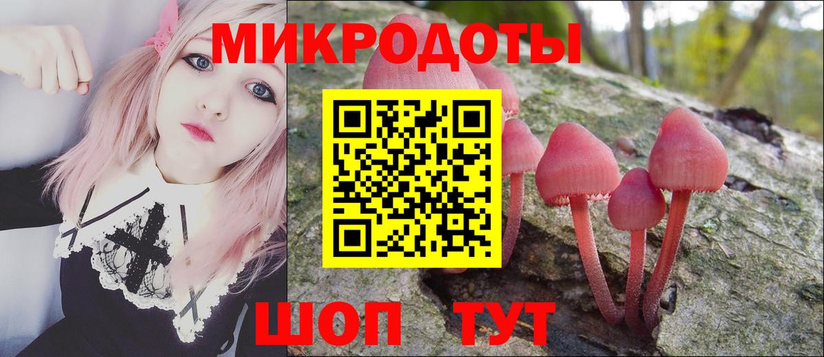 Галлюциногенные грибы Psilocybine cubensis  Псилоцибиновые грибы ЛСД  Вход с VPN  Глазов 